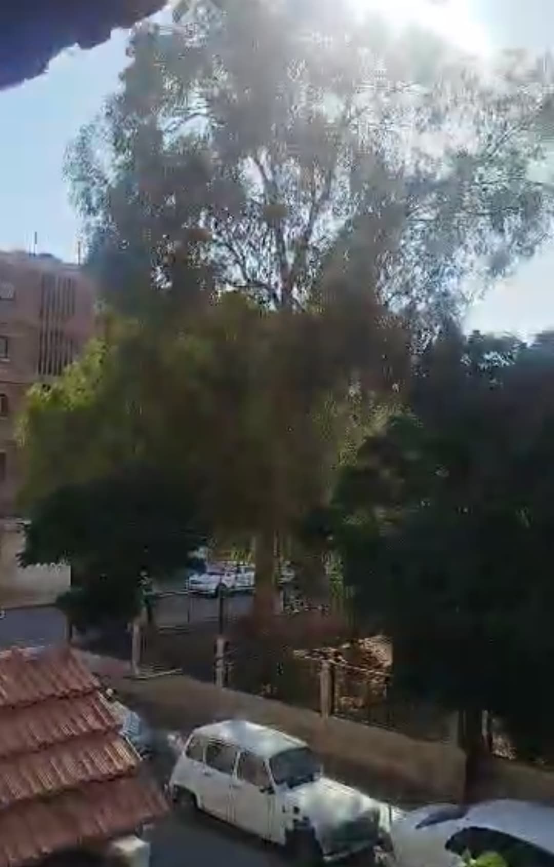 شقة للبيع -الزاهرة القديمة - 2