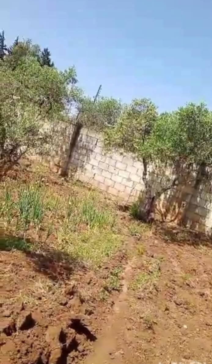 مزرعة للبيع -ريف حمص خربة التين - 5