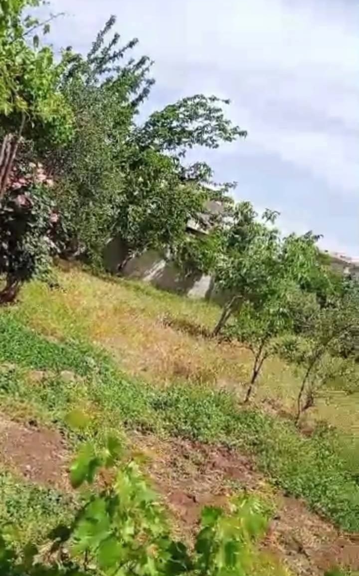 مزرعة للبيع -ريف حمص خربة التين - 2