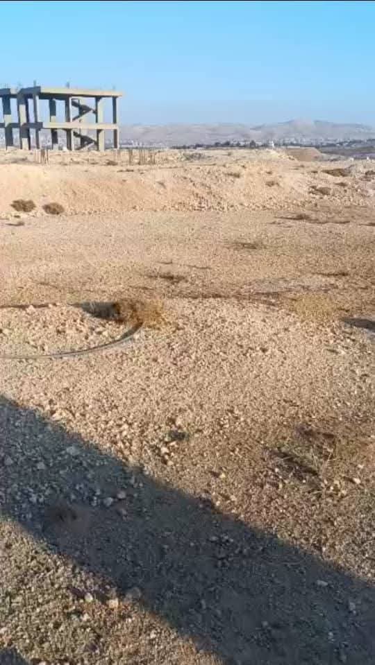 ارض مرخصة للبناء -مجمع الشيخ زايد - 2