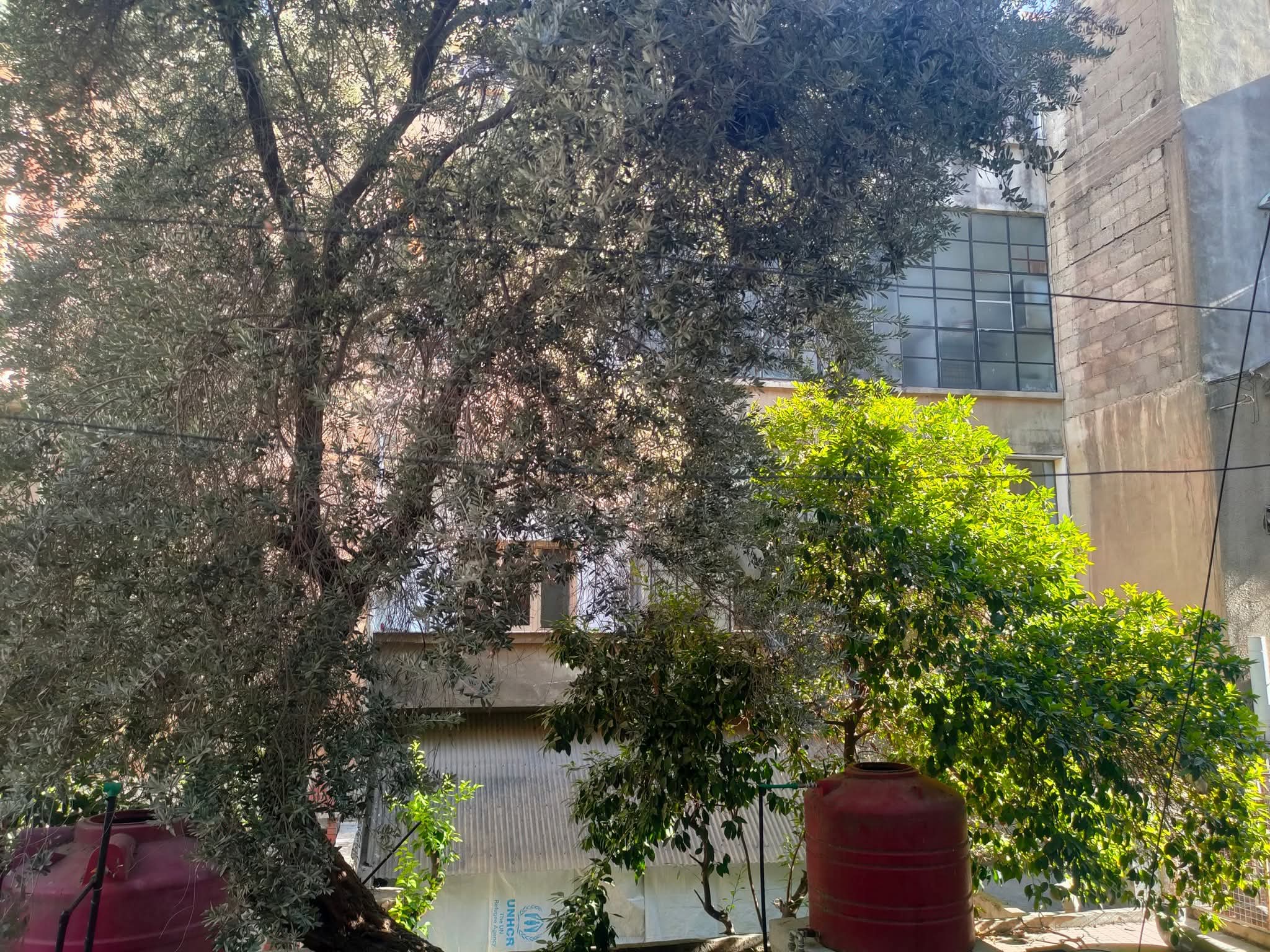 شقة للبيع -عين كرش - 3