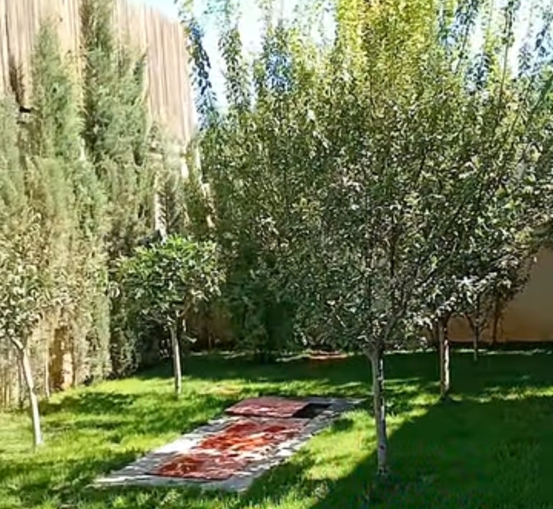 فيلا VIP تشطيب جديد بالورق-دروشا - 2