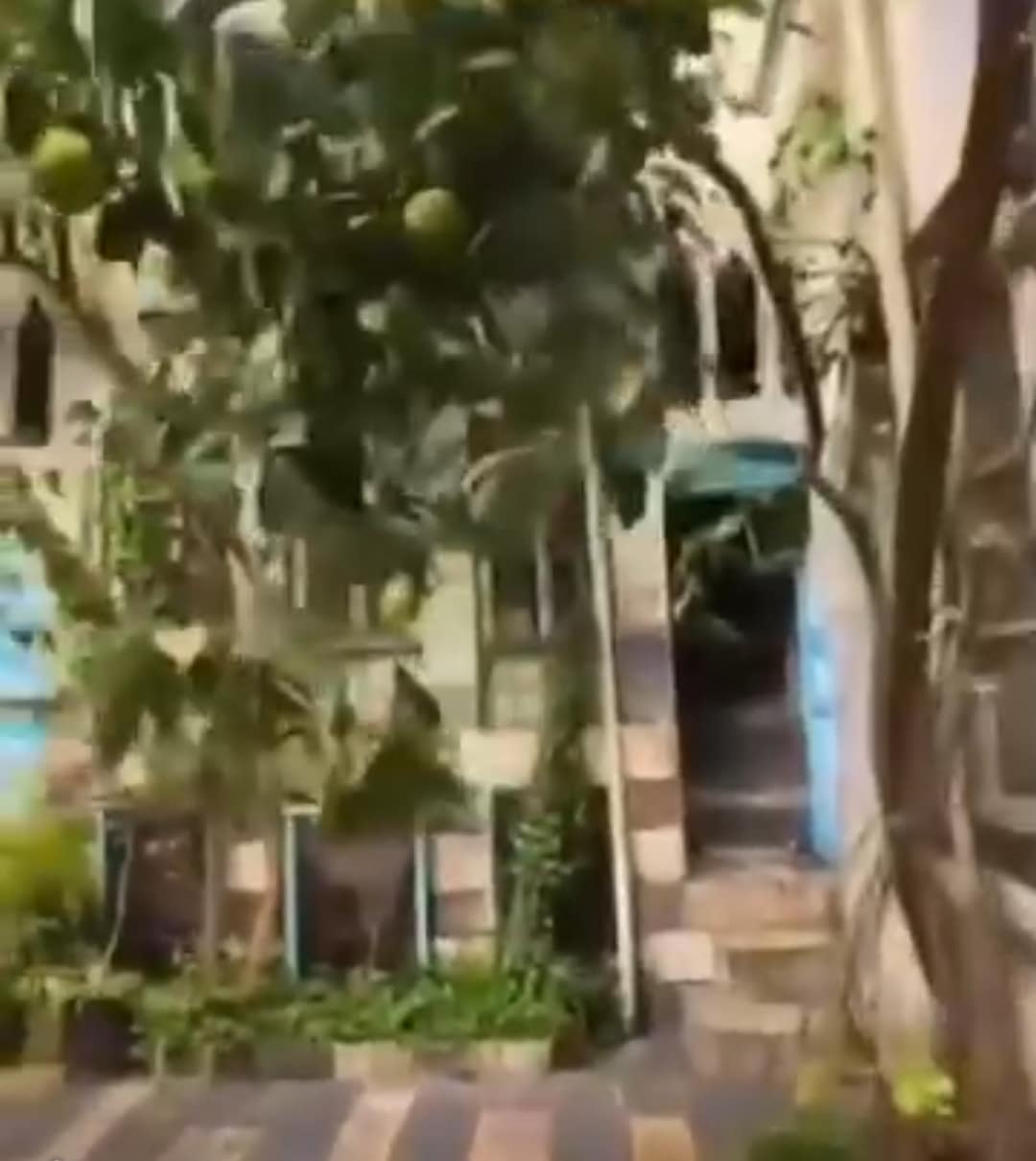 اجمل منازل العصر الايوبي -الشاغور - 4