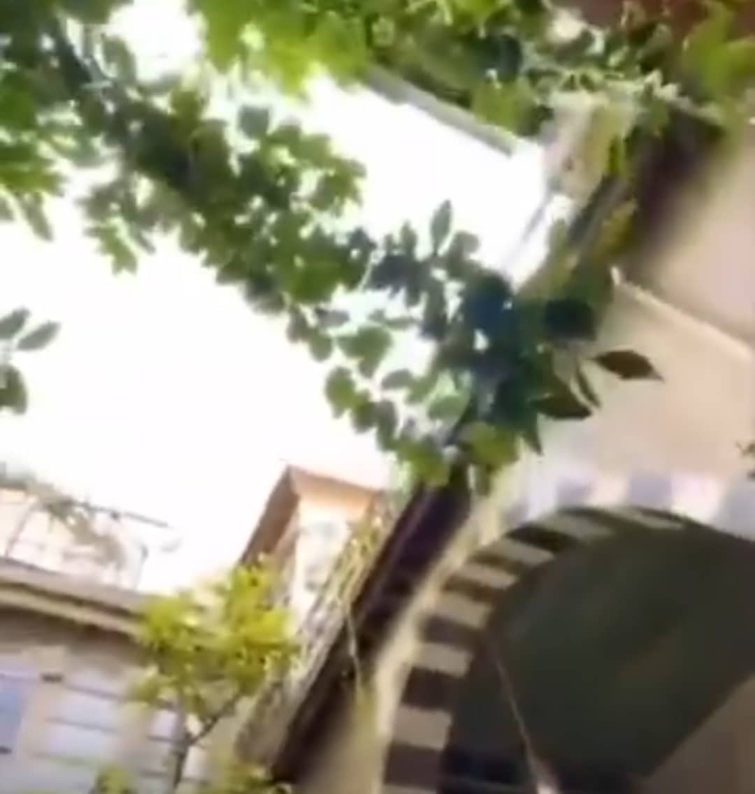 اجمل منازل العصر الايوبي -الشاغور - 3