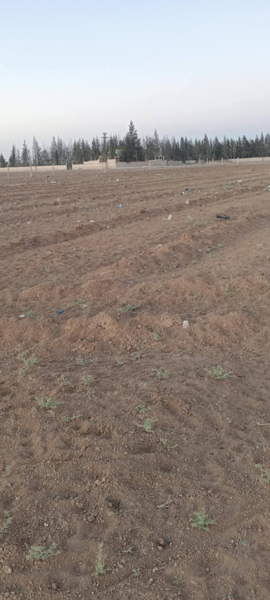 ارض للبيع -العادلية - 2