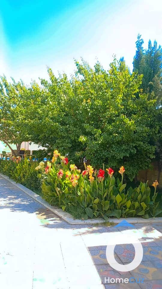 مزرعة للبيع او المداكشة -اشرفية الوادي - 2