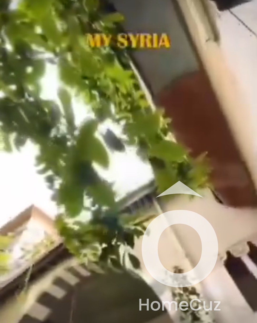 منزل عربي للبيع - الدقاقين - الشاغور - 3