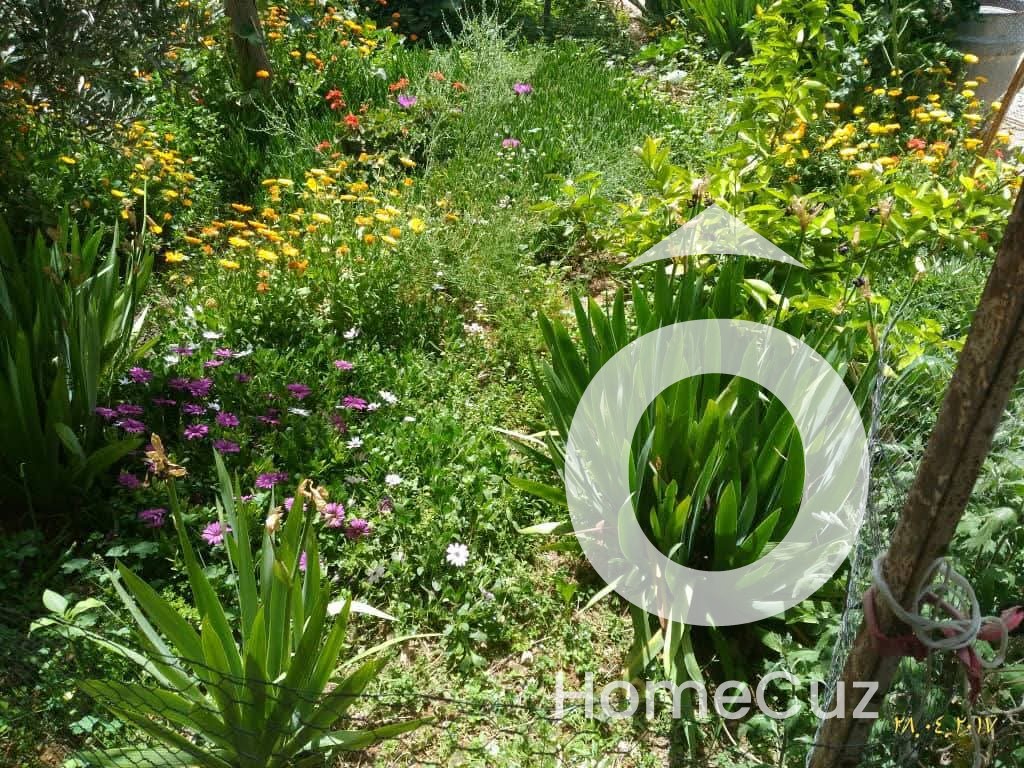 بيت عربي للبيع - المعضمية - 4