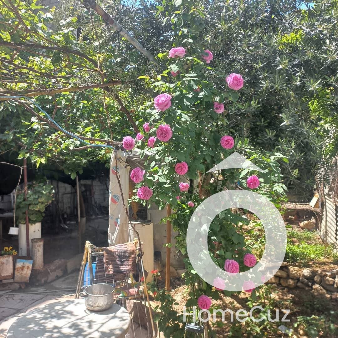 بيت عربي للبيع - المعضمية - 3